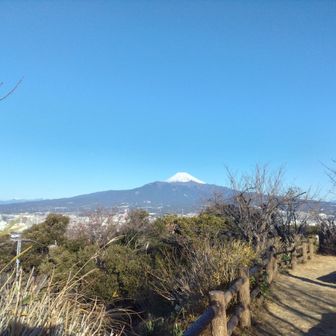 富士山が美しい