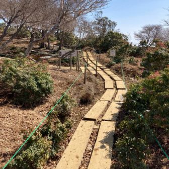 整備されて美しい✨