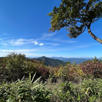 高賀山もバッチリ👌
