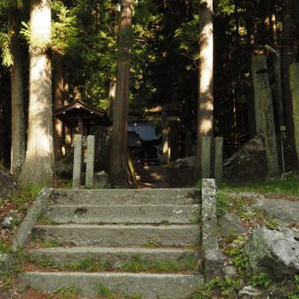 毎回神社を通って行ってます😅