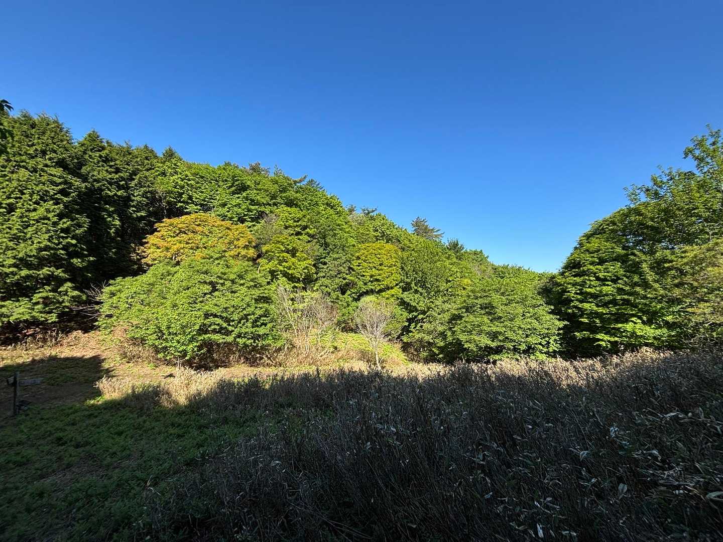 泉山登山口-泉嵓神社-泉山Aコース入口　-福ヶ乢-井水山- 往復コースの写真