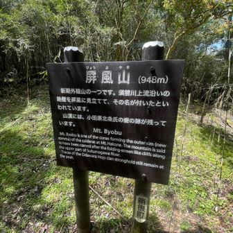 だって展望がゼロだもの