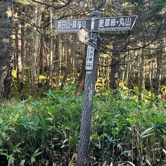 大石峠到着