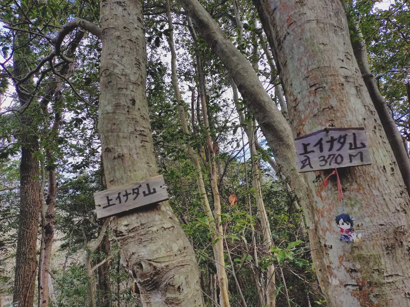 上イナダ山に着きました　
眺望無し
次は　小石山です