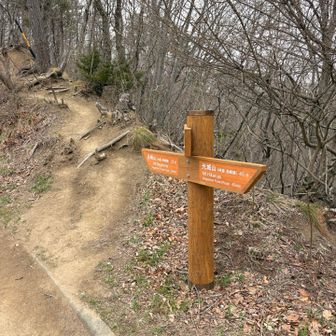 林道を歩いたり外れたりしながら歩く