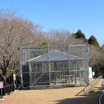 東屋　工事中🚧