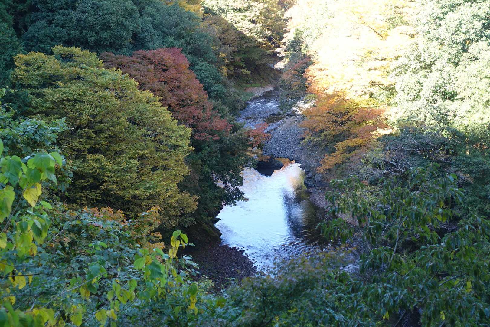 【フラット登山】大多摩ウォーキングトレイル　渓谷美と焚き火を楽しむの写真