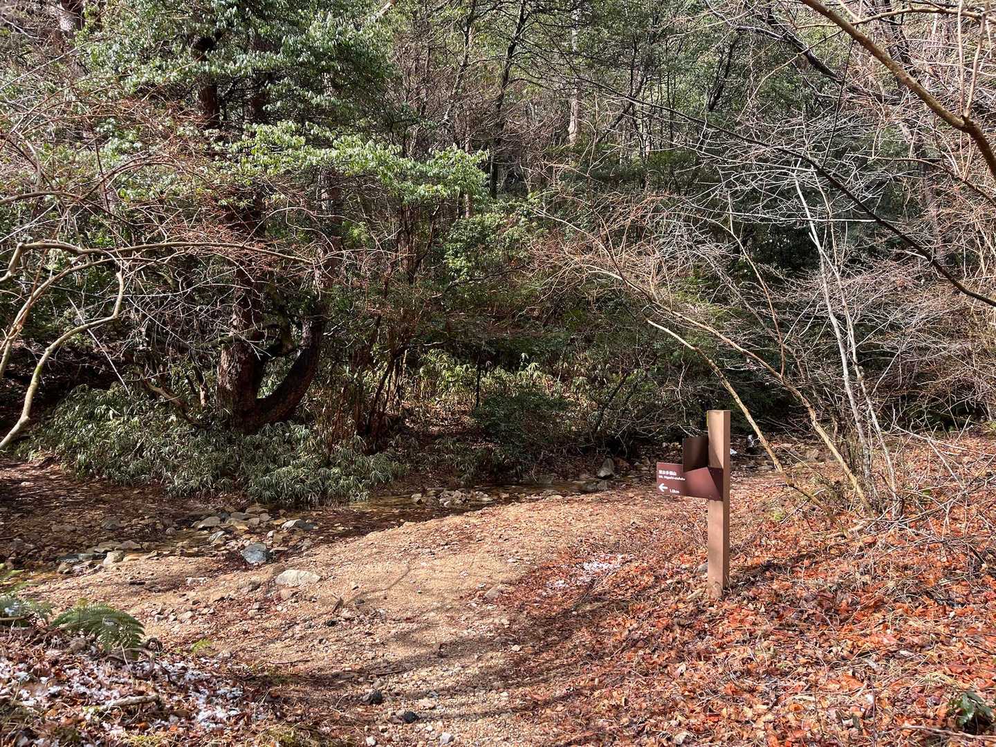 登山道に入って行きます