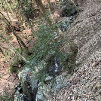 これも滝って言う？下の方に滝ちゃ滝よね
この斜面抜けて県道21号