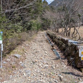 駐車場より、行く道