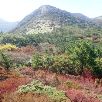 下泉水山/山頂から上泉水山