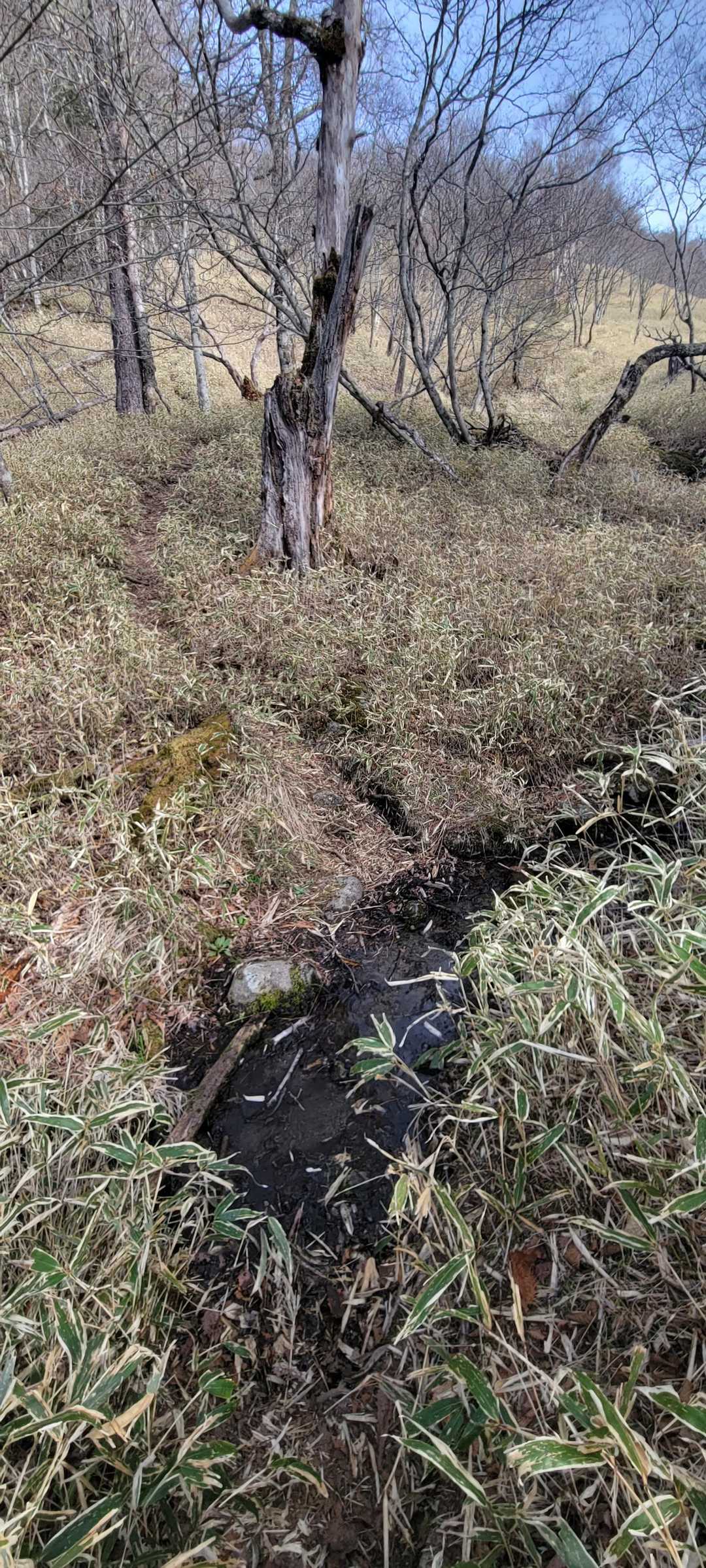 黒金山登山口-牛首のタル-黒金山 往復コースの写真