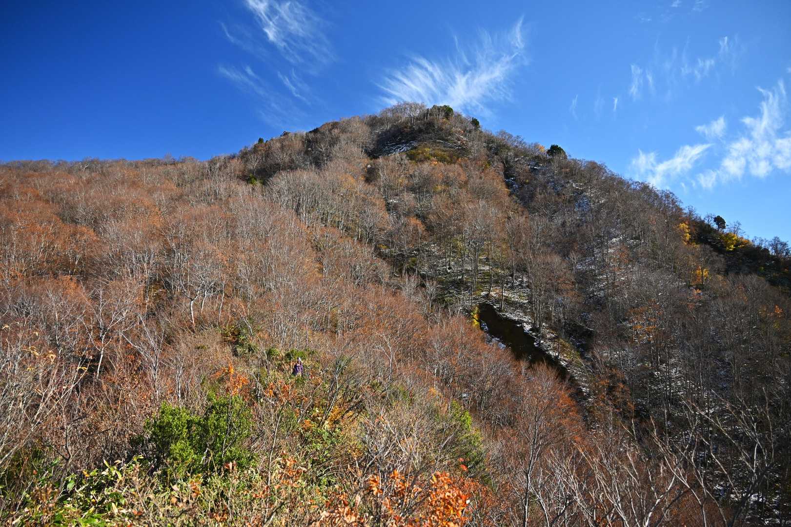 下って振り返る
登山者も少なく、ずっと穴場であって欲しい🤫