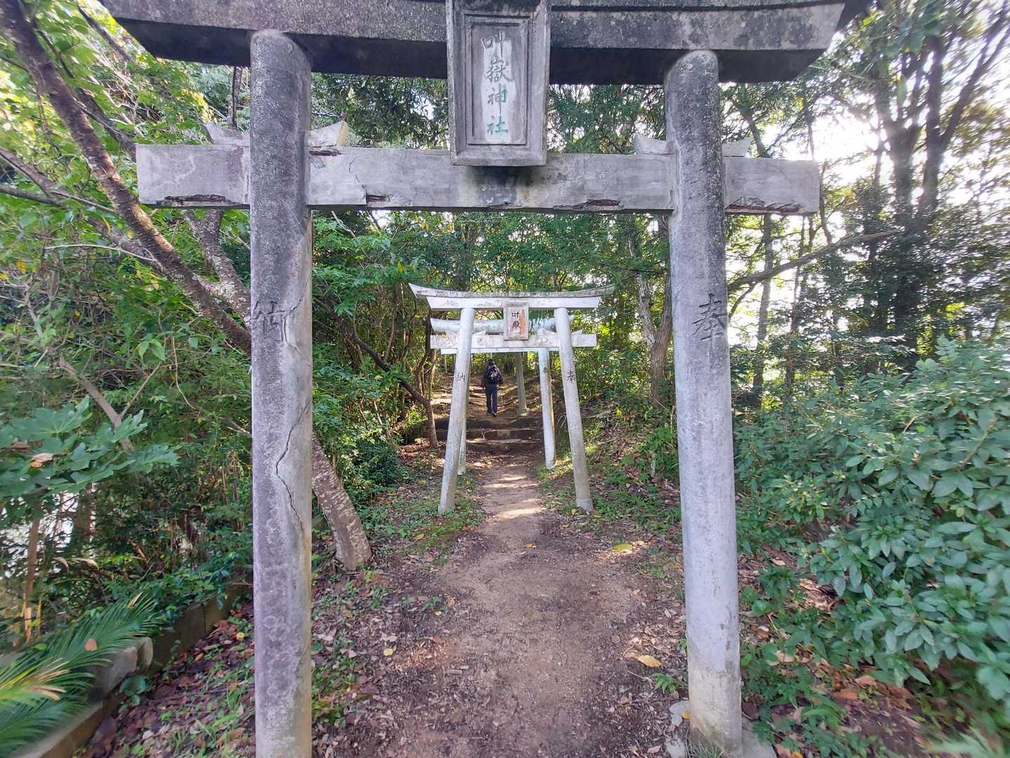 ⛩️をずっとくぐる