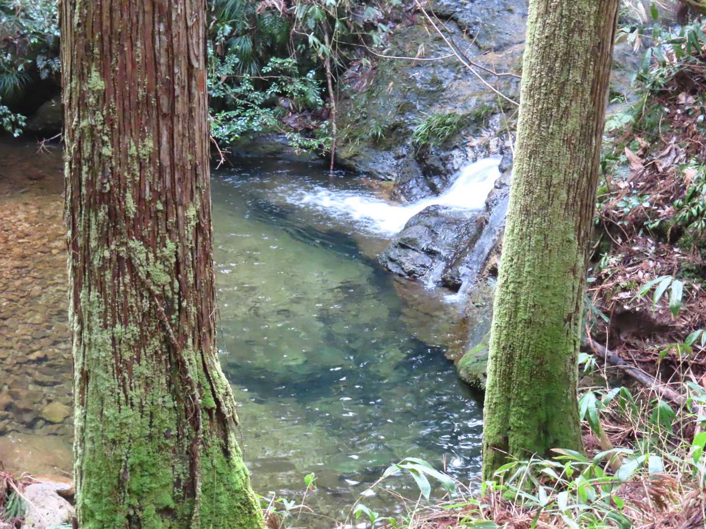 川の流れが綺麗