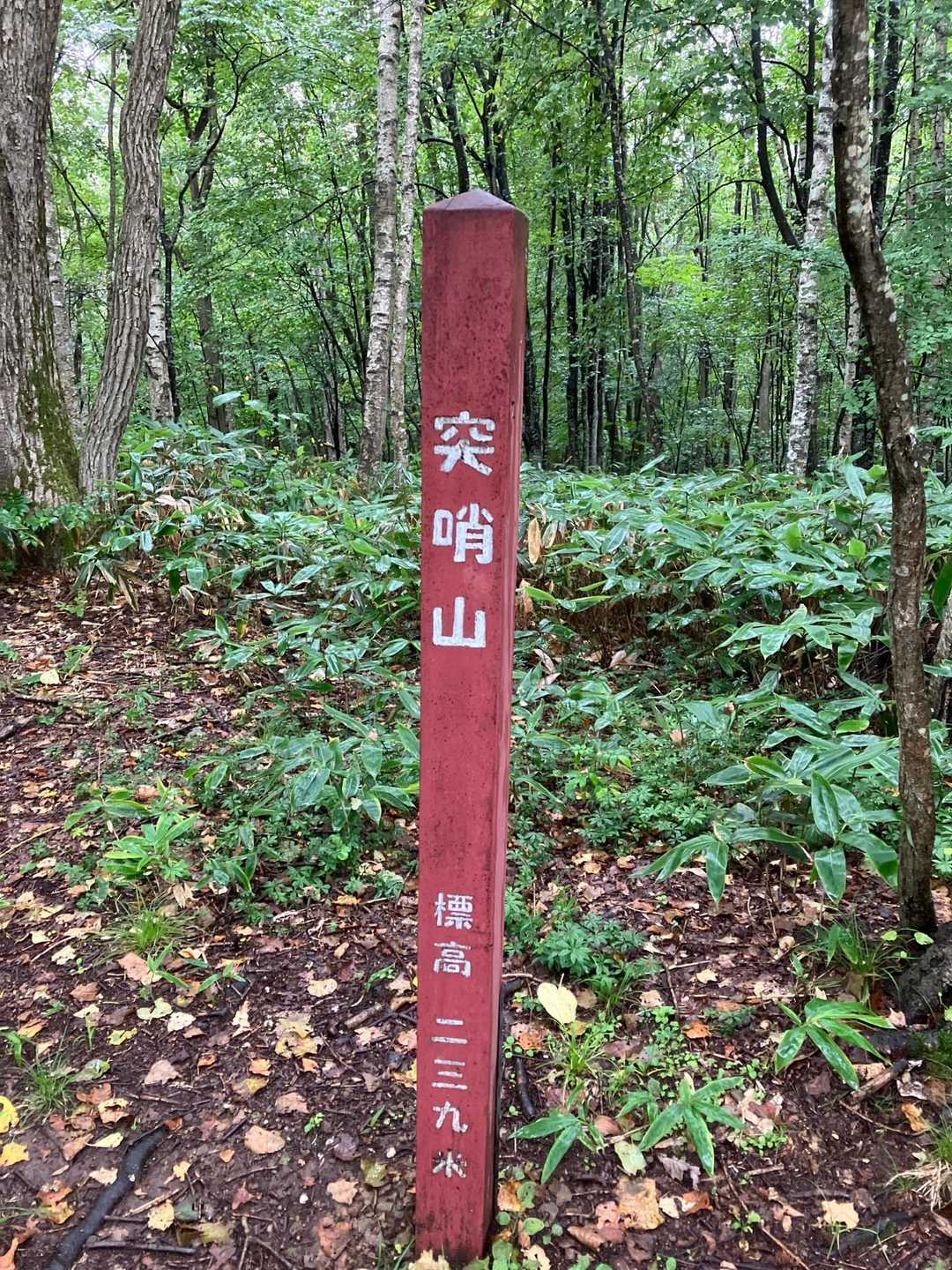 突哨山山頂👍 古くはトッショ山と呼ばれ、アイヌ語のトゥ ッ・ソTuk-so（突き出る・ところ）が語源と考えられています☺️