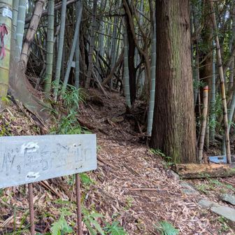 登山口😄