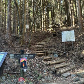雪山どうしようかにゃ〜と考えながら林道を歩いていたら、いよいよ表尾根の登山口に着いたにゃ！