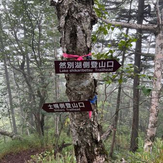 先に岩石山🪨に向かいます👈