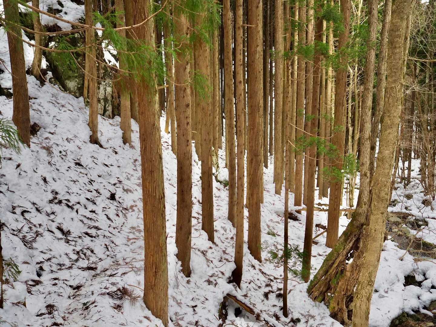 吉和冠山 汐谷コースの写真