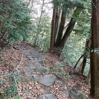 延々と続く石段に足とメンタルをやられました