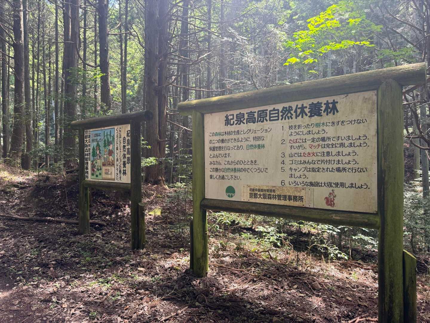 『キャンプは指定された場所で…』はキャンプ場跡地の名残り
残念ながら指定されたキャンプができる場所はありません😢