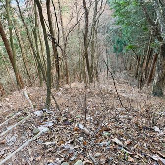 鋸山へ向かって、まずは下り。
