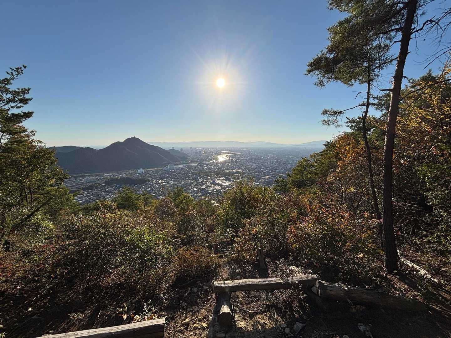 長良山 往復コースの写真