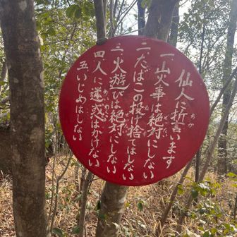 仙人に誓います✋

1.唐揚げを食べ過ぎない🍗🐷
2.夜な夜なポテチを食べない🐷
3.スマホは充電してから山に行く🪫(10%)
4.登山靴を履き忘れない😭
