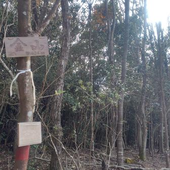金山登頂。ここらへんからキツくなってきた。ストック無しで来たのを後悔…