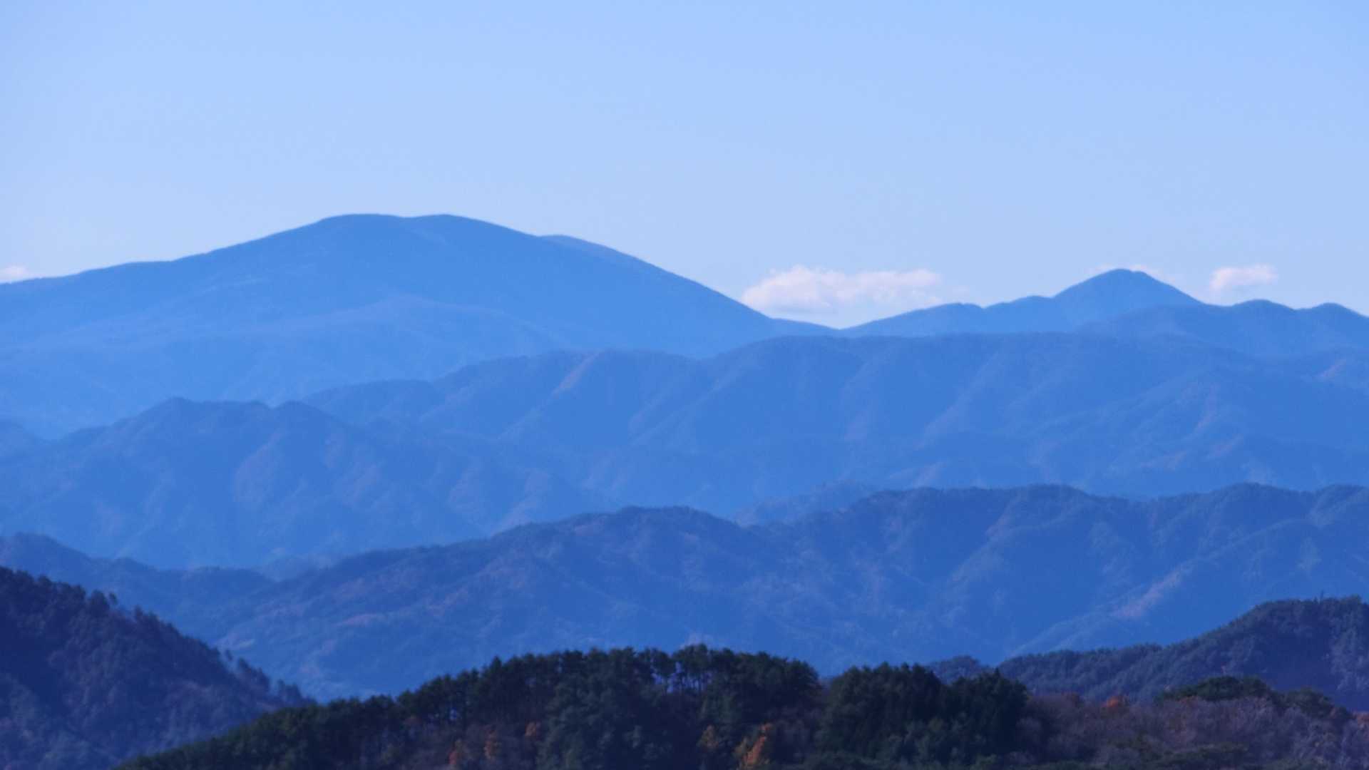 これは五葉山と思われます