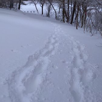 なんか嫌な予感