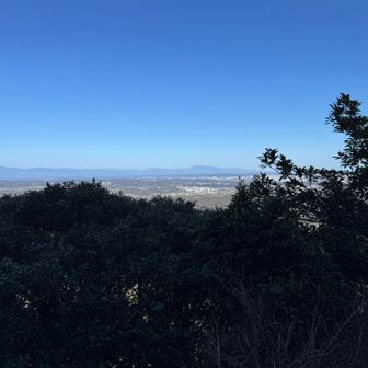 宮崎市を一望。
木が大きくなってる…
少し見えにくく
なりつつある…