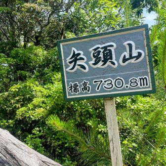 矢頭山到着