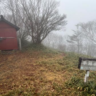 さんちょ

はい、ガッスガース😶‍🌫️笑
来年のリベンジが決定しました👏笑