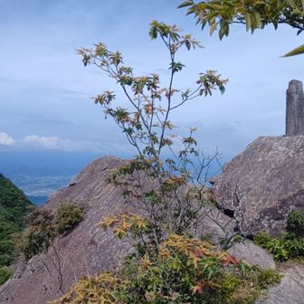 往路、屏風岩から獅子岩へ。
(梯子クサリを経て)獅子岩。