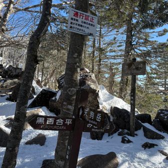 ニュウ、白駒池方面へ