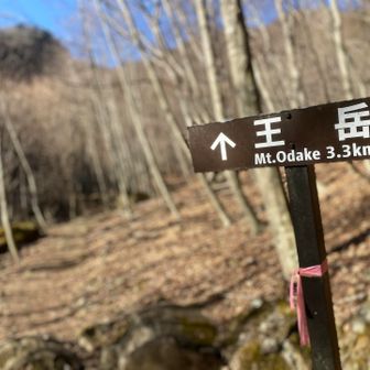 ここから本格的な登山道になる