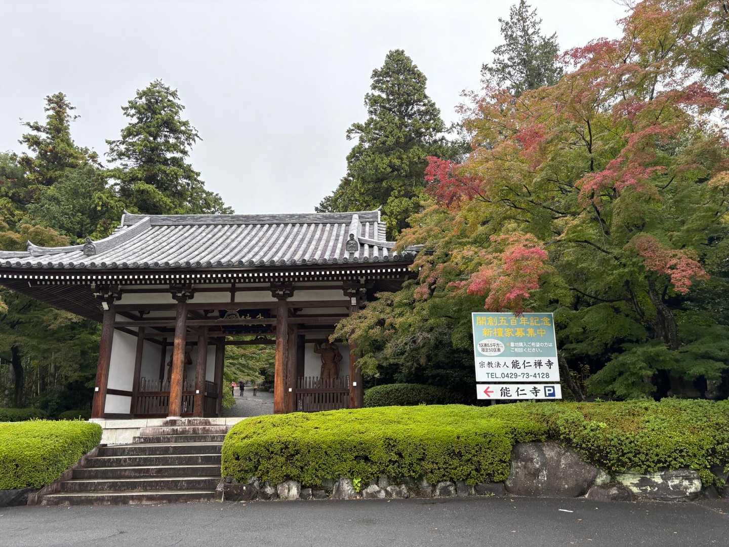 能仁寺の🍁見頃はもう少し先ですね🥹