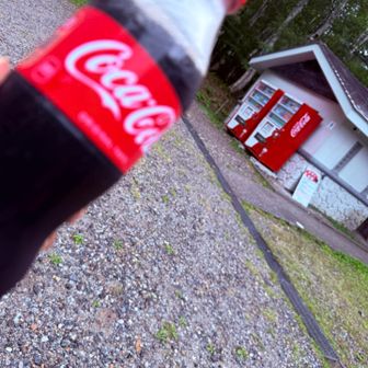 すかさずコーラ買いました¥250
