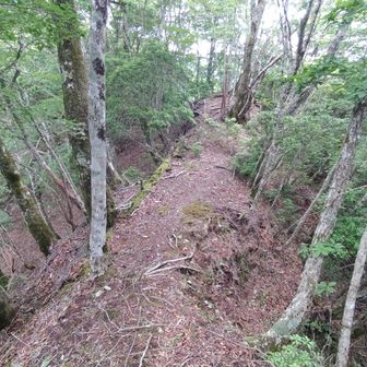 尾根道には両側が深く切れ落ちている箇所もありました。