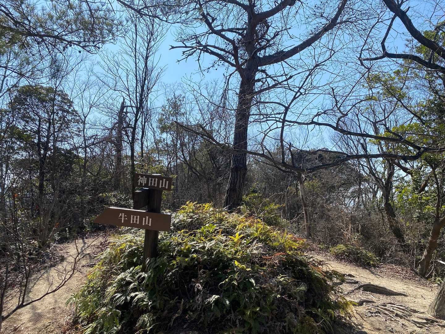 山根口登山口-尾長山-牛田山-神田山 縦走コースの写真