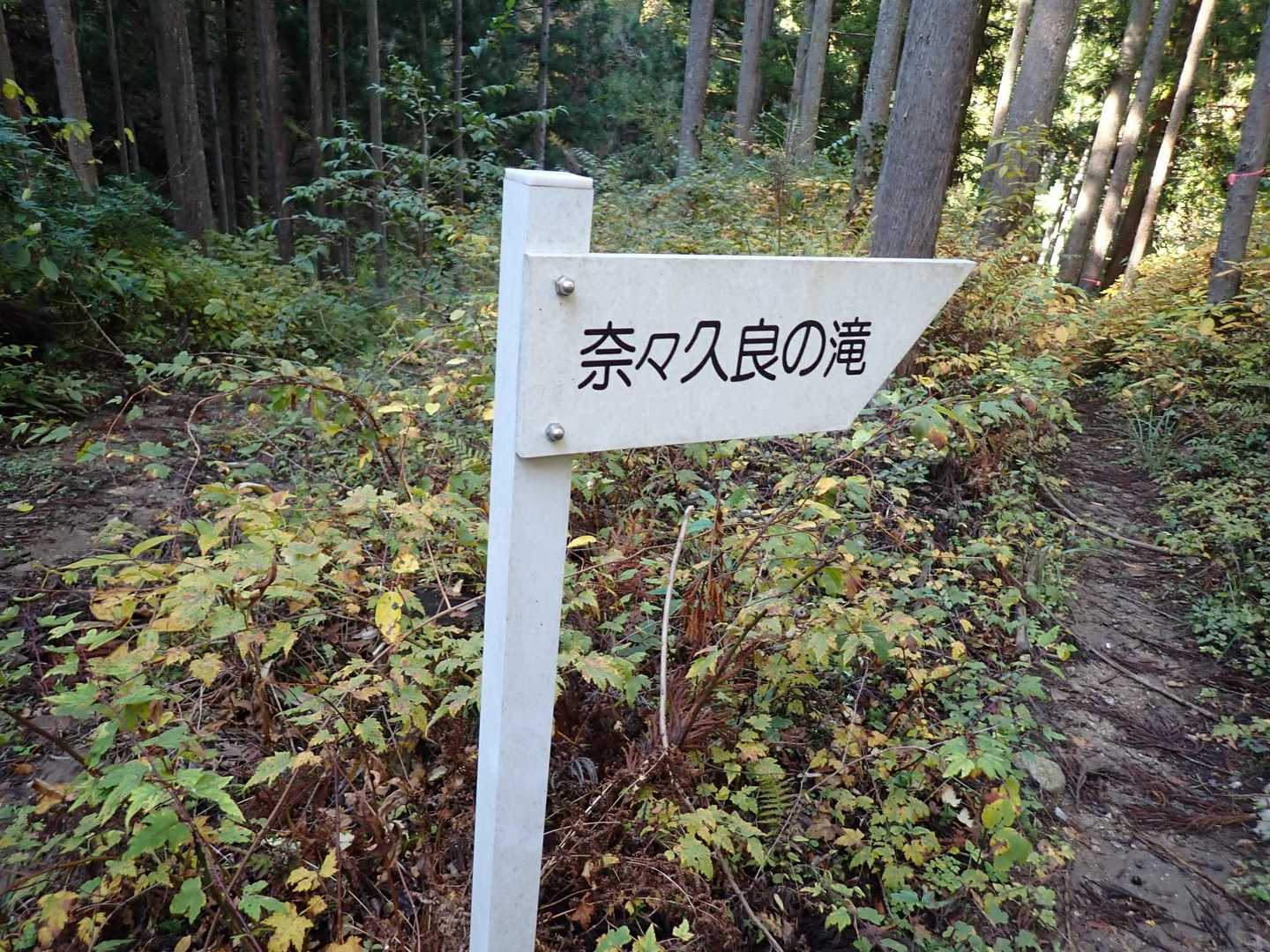 ひたすら滝を目指します