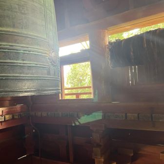 賽銭なく　つかなかった　階段登る😊