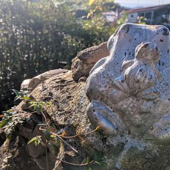 周回ルートも考えたが
共にこの後、用事あるためピストン下山。

無事カエル🐸