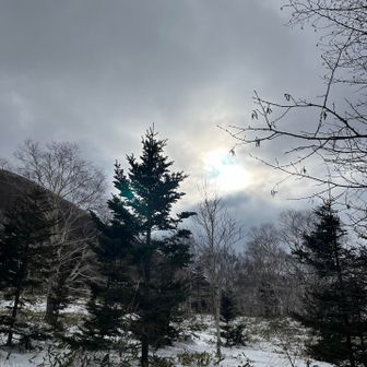 時々太陽☀️
時々カゼツヨ🌀