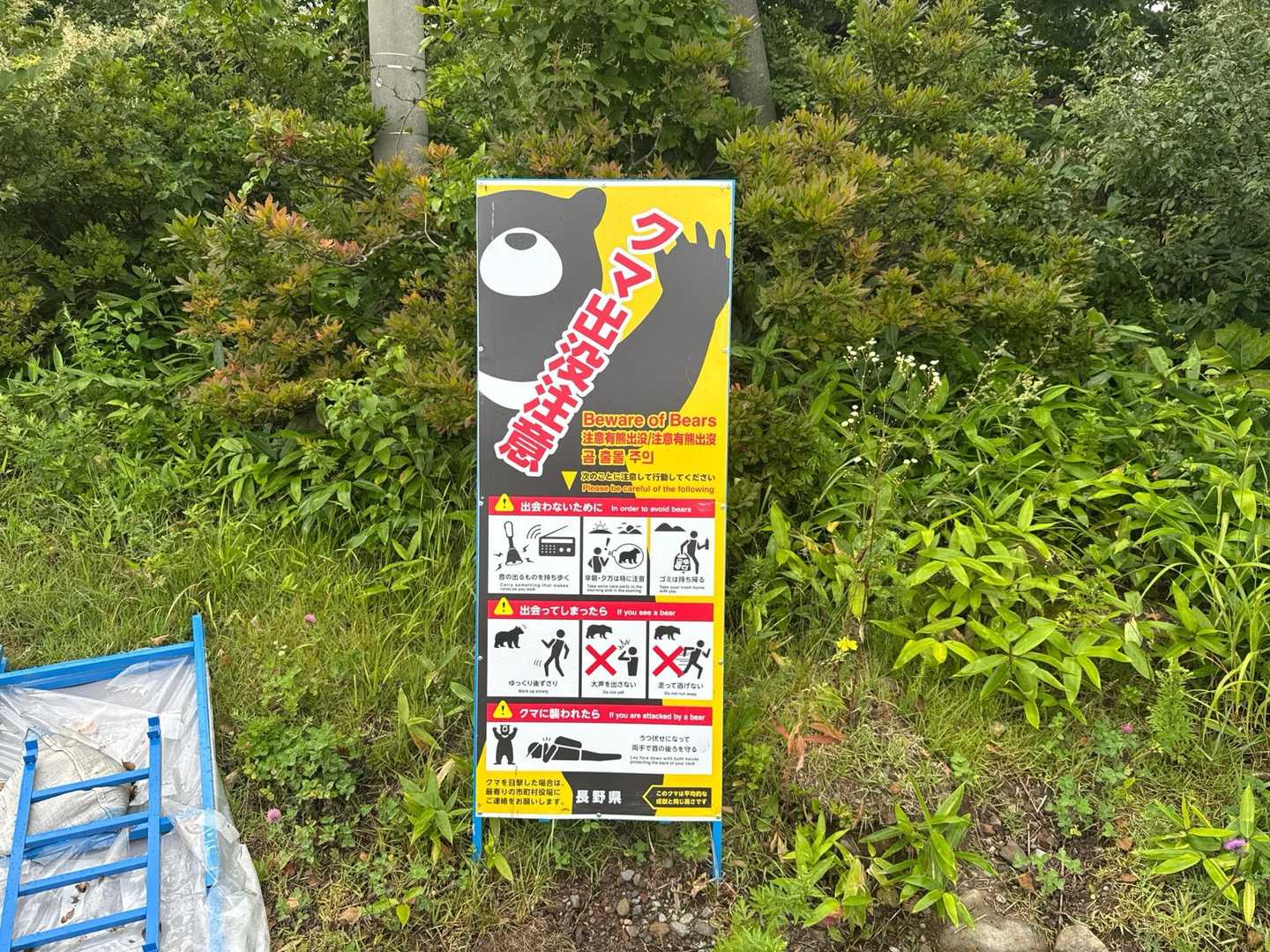 熊出没注意⚠️
気をつけて行ってきます🙌
