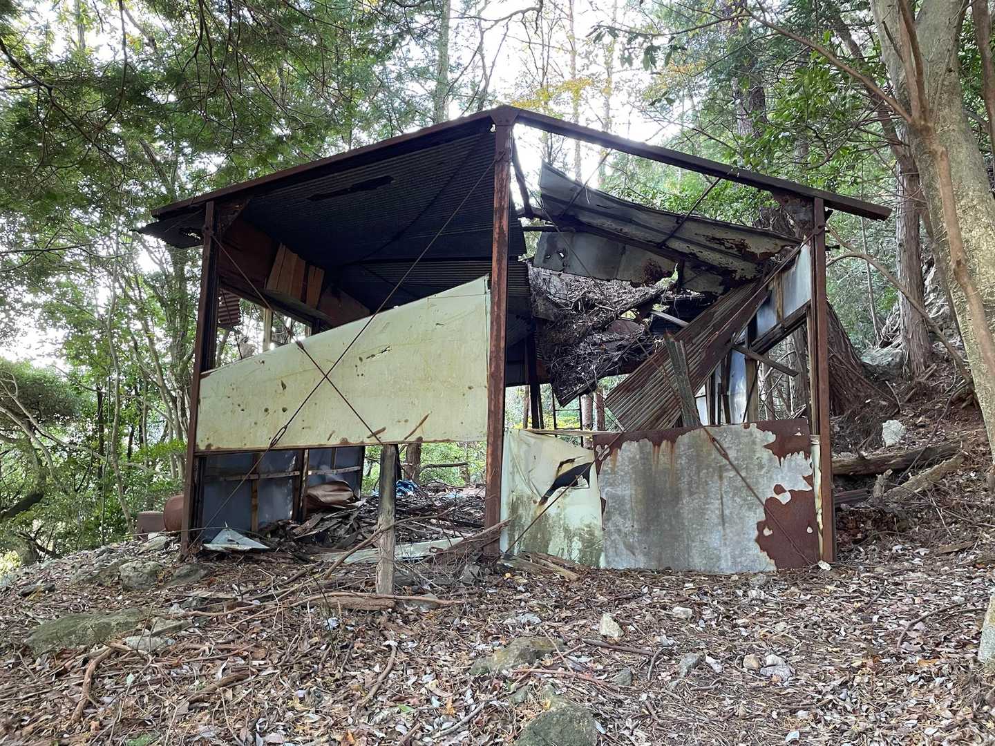頭光嶽-高見城山 往復コースの写真