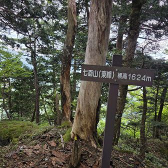 眺望はない