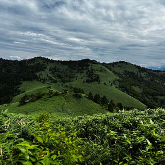 次の目的地､横川山が見えてきた⛰️